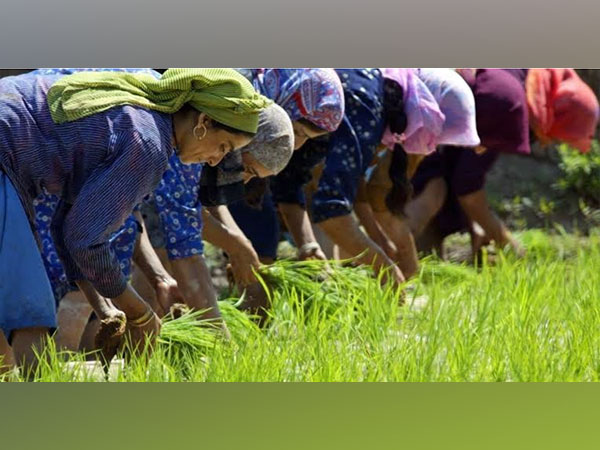 Women farmers in Jammu and Kashmir (Photo/ANI)
