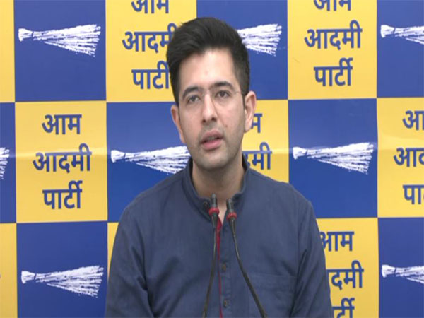 AAP MP Raghav Chadha. (Photo/ANI)