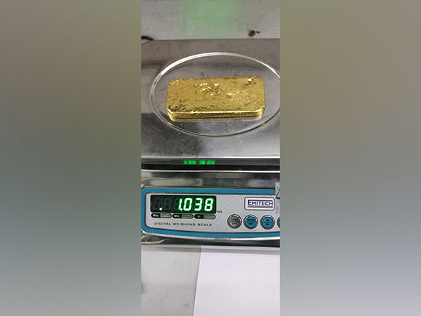 Gold Seized by Customs (IGI) (Photo/ANI)