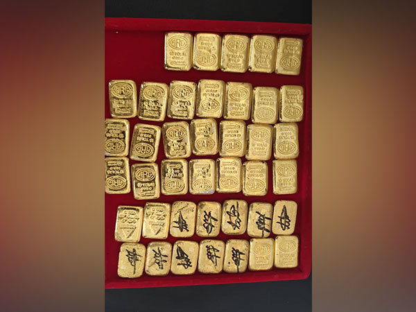 Gold biscuits seized by the BSF team (Photo/ANI)