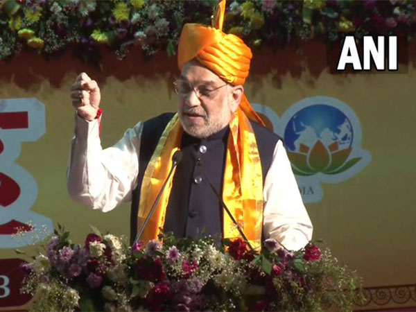 Union Home Minister Amit Shah (Photo/ANI)