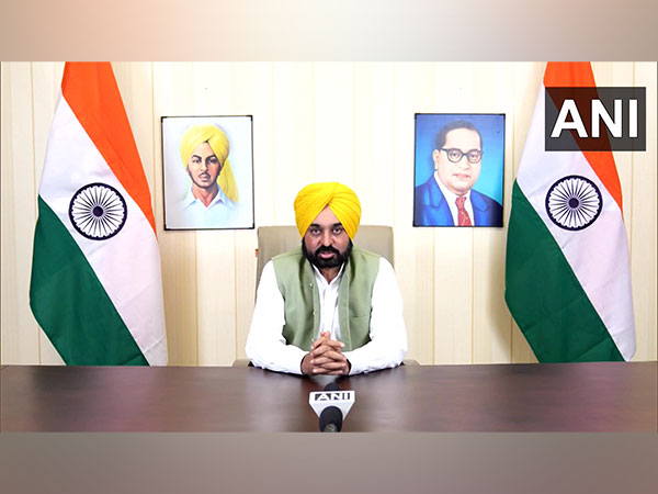 Punjab Chief Minister Bhagwant Mann (Photo/ANI)