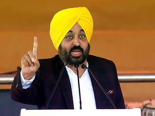 Punjab Chief Minister Bhagwant Mann (Photo/ANI)