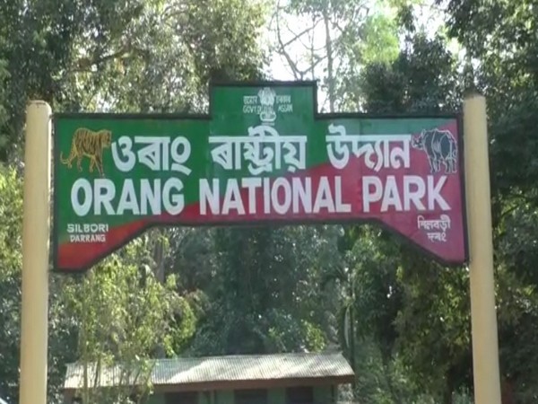 Assam's Orang National Park (Photo/ANI)