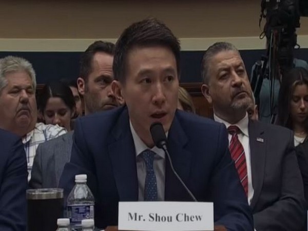 TikTok CEO Shou Zi Chew (Source: C-SPAN 3)