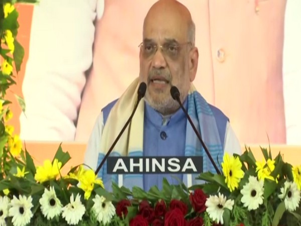 Union Home Minister Amit Shah. (Photo/ANI)