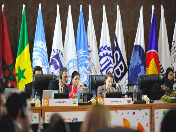 Second G20 Framework Working Group meeting held in Chennai (Image Credit: Twitter/@g20org)