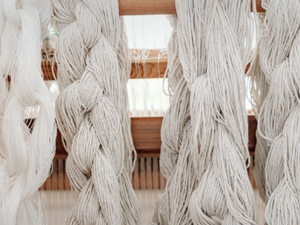 Representative Image (Photo/pexels.com)