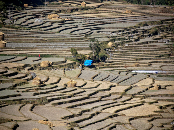 People farm in the Punakha Valley, Bhutan. (File Photo/Reuters)