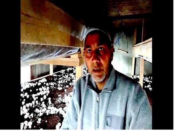 Mushroom cultivation in winters proved successful in Pulwama, Jammu and Kashmir. (Photo/ANI) 