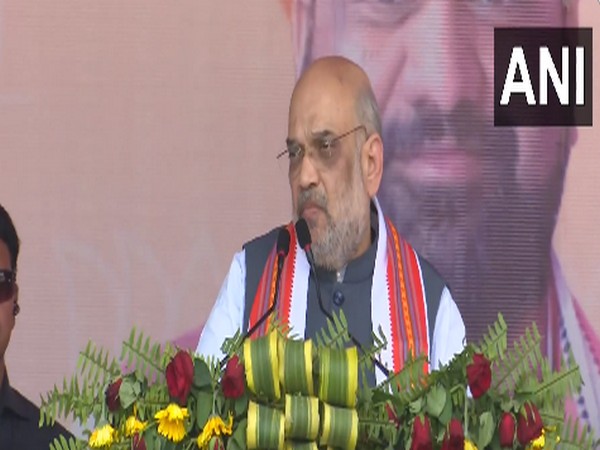 Union Home Minister Amit Shah (File photo/ANI)