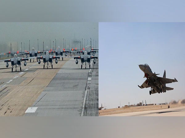 American F-15 Strike Eagle and Indian Su-30MKI fighter aircraft (File Photo/ANI)
