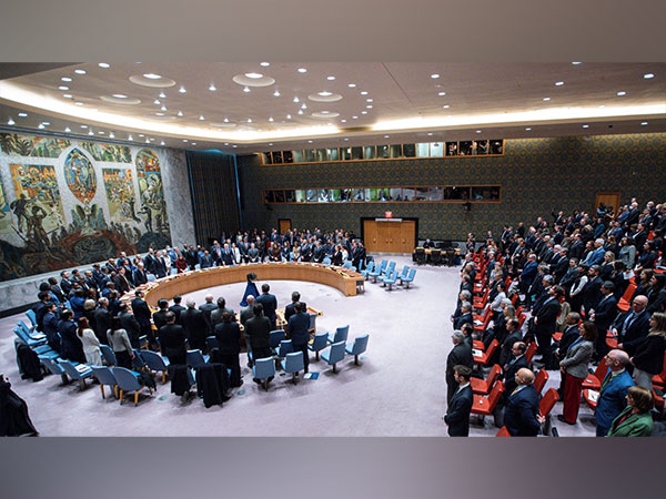 United Nations Security Council. (File Photo/Reuters)