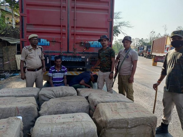 Police seize 2,000 bottles of cough syrup in Karimganj (Photo/ANI)