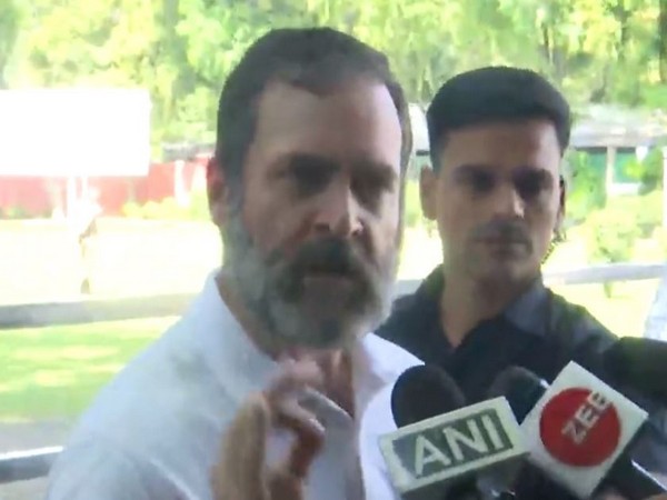Congress leader Rahul Gandhi (Photo/ANI)