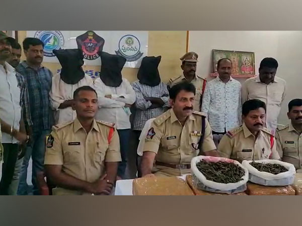 Palamaneru police arrests three persons for selling ganja (Photo/ANI)