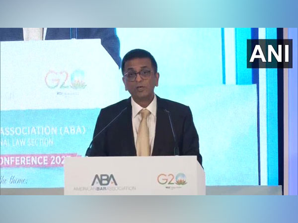 Chief Justice of India DY Chandrachud (Photo/ANI)