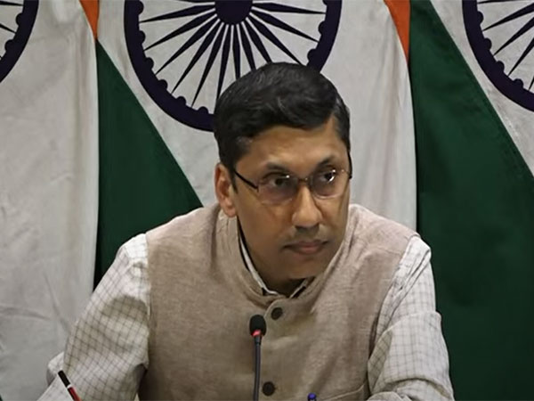 MEA official spokesperson Arindam Bagchi (Photo/ANI)