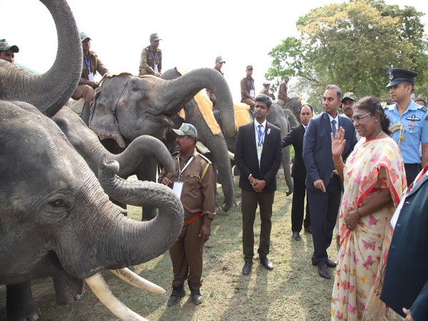 President Droupadi Murmu at Kaziranga National Park during Gaj Utsav 2023. (Photo/President of India Twitter)