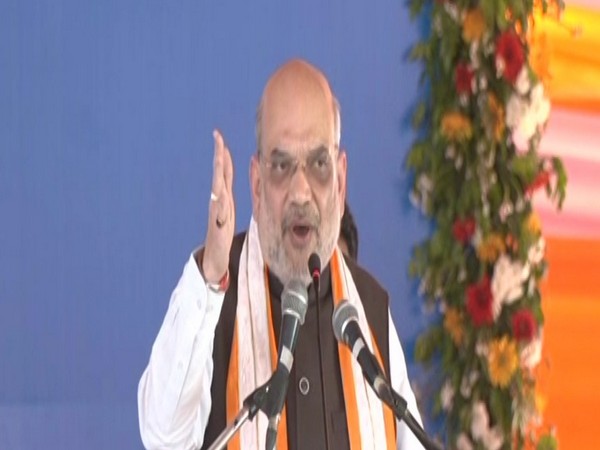 Union Home Minister Amit Shah (Photo/ANI)