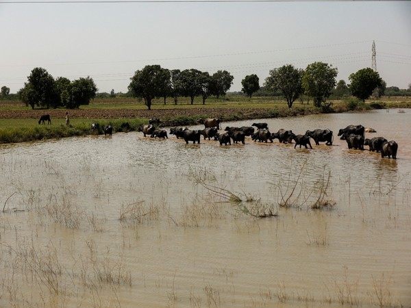 Representative Image. (Photo/Reuters)