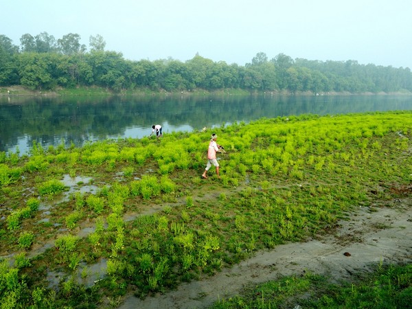 Representative Image (Photo/Twitter/LG Delhi)