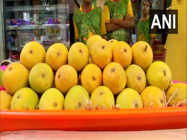 The premium Alphonso mangoes are significantly costlier than other varieties. (Photo/ANI)