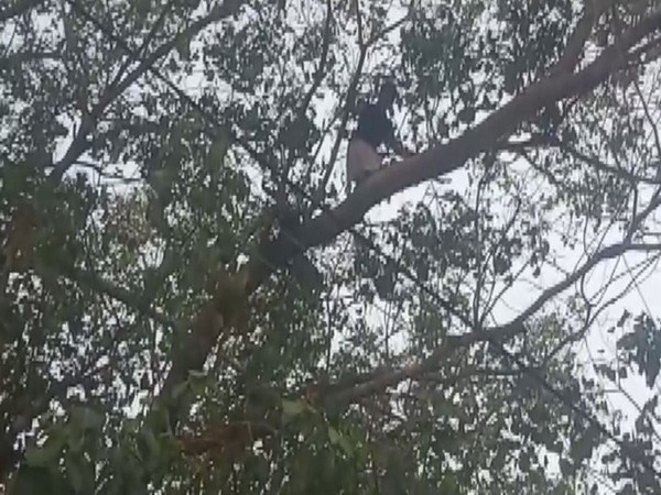 Visuals from outside the Aluva police station (Photo/ANI)
