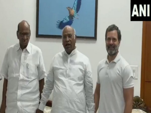 Sharad Pawar (L), Mallikarjun Kharge (M) , Rahul Gandhi (R) (Photo/ANI)