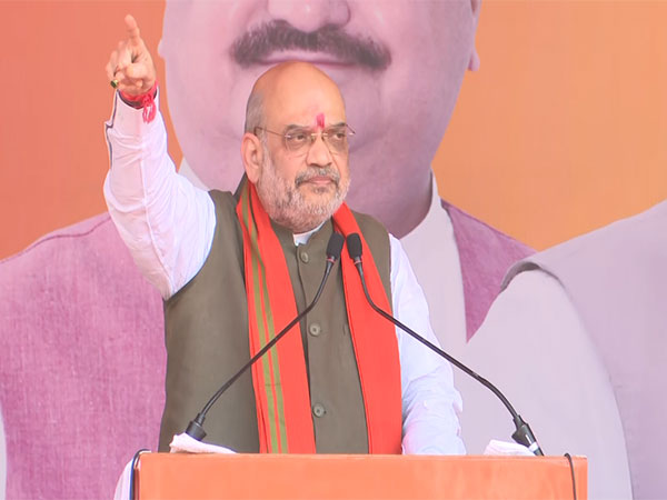 Union Home Minister Amit Shah (Photo/ANI)