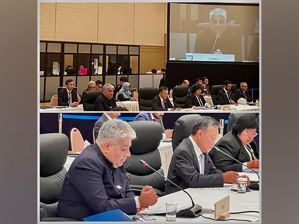 Union Environment Minister Bhupender Yadav (Source: Twitter/@byadavbjp)