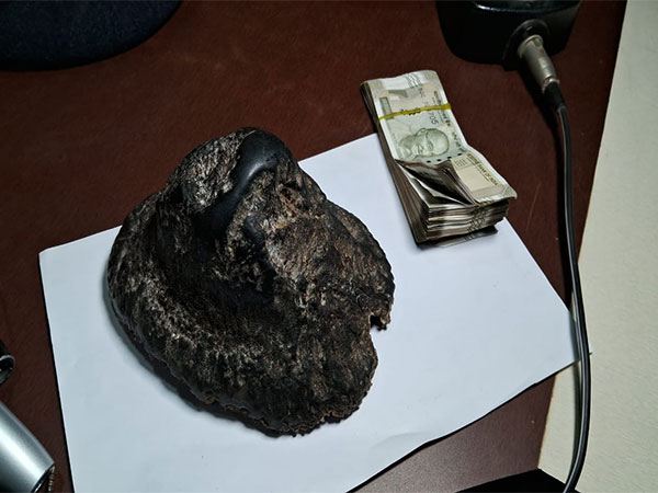 The rhino horn recovered by STF and Nagaon Police (Photo/ANI)