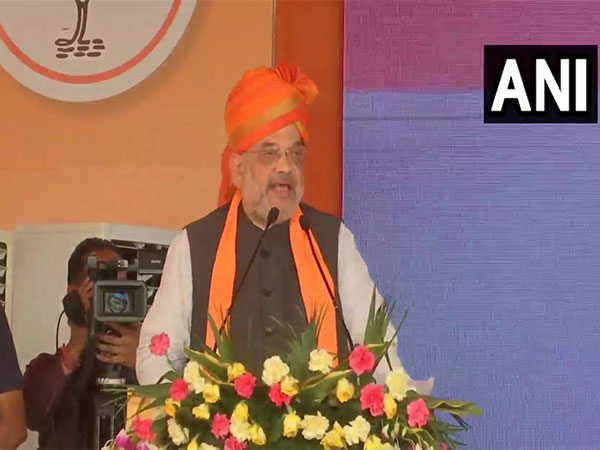 Union Home Minister Amit Shah (Photo/ANI)