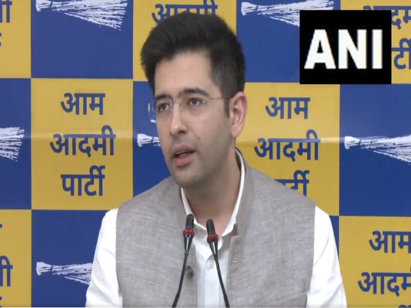 AAP leader Raghav Chadha (Photo/ANI) 