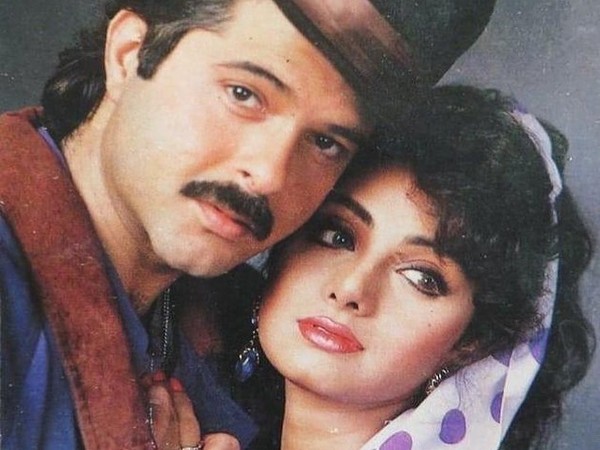 Anil Kapoor and Sridevi. (Image Source: Instagram)