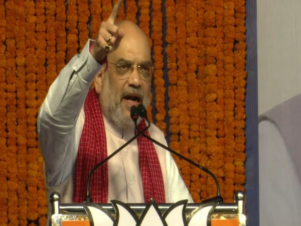 Union Home Minister Amit Shah (Photo/ANI)