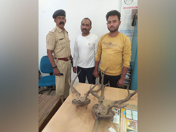 Two held for smuggling deer horns (Photo/ANI)