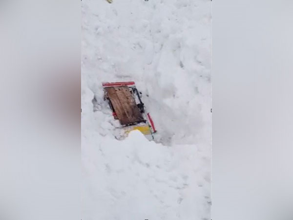 Vehicle buried in Avalanche near Zojila pass 