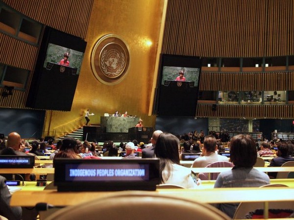 22nd Session of the United Nations Permanent Forum on Indigenous Issues (UNPFII). (Photo Credit - United Nations)