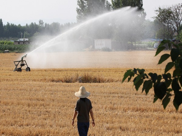 Sprinkler irrigates a corn field in Xiliangshi village. (Photo Credit - Reuters)