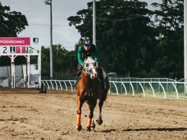 Representative Image. (Photo: Pexel.com)