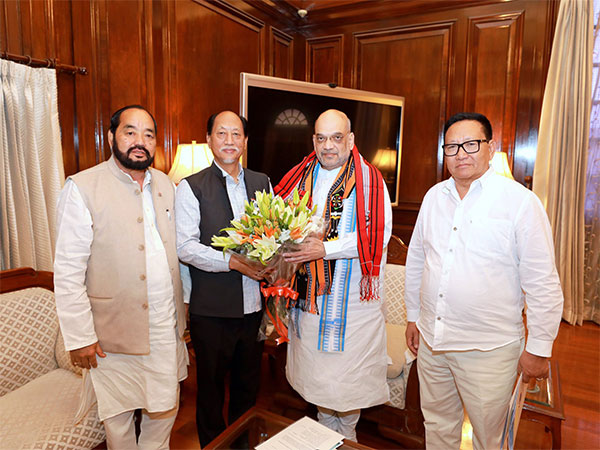Nagaland CM meets Union Home Minister Amit Shah (Photo: Twitter/@HMOIndia)