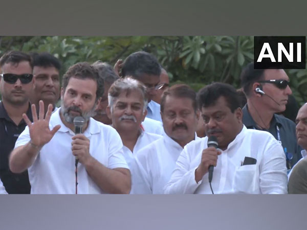 Congress leader Rahul Gandhi (Photo/ANI)