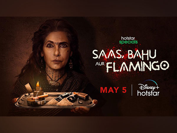 Poster of Saas Bahu Aur Flamingo (Image source: Instagram)