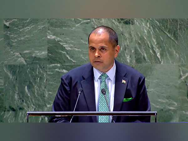 Counsellor Pratik Mathur addressing 68th Plenary Meeting UNGA. (Photo/Twitter: @PratikMathur1)