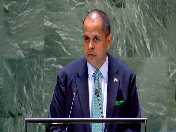 Pratik Mathur, Counsellor, Permanent Mission of India to the United Nations (Image Credit: Twitter/@PratikMathur1)