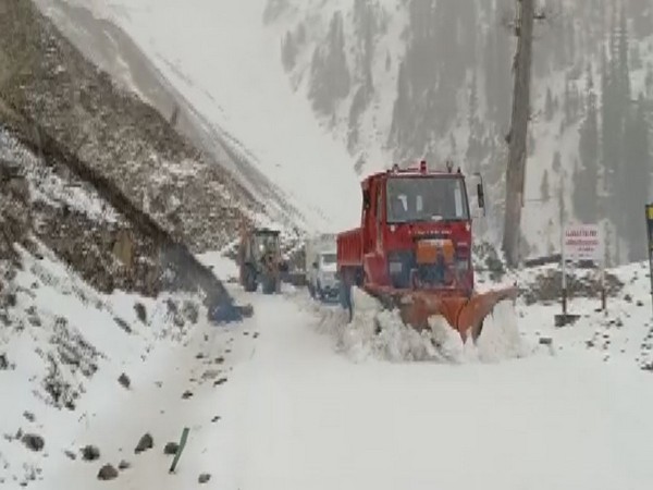 Snow Clearnance operation for for Mughal Road (Photo/ANI)