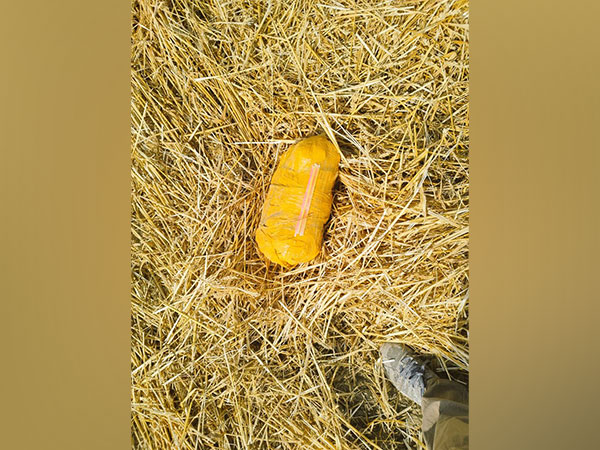 BSF recovers narcotics in Amritsar (Photo/BSF)