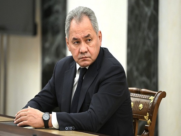 Russian Defence Minister Sergei Shoigu (Source: kremlin.ru)