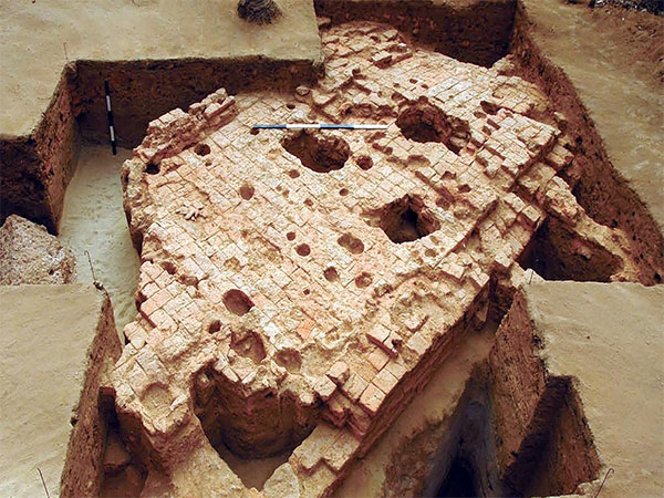 Pattanam coastal village of the Ernakulam District in Kerala. (Image Source: Twitter)